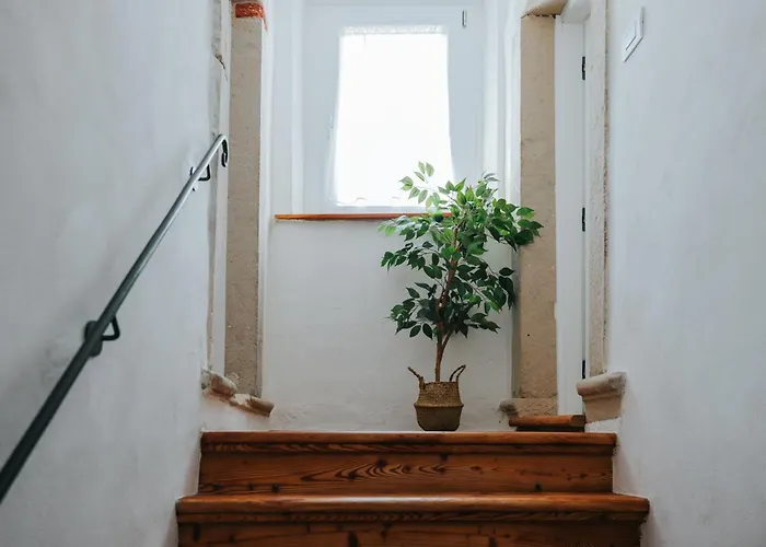 La Casa Di Betti 홈스테이 치손디발마리노